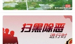 最新返场爆料新闻视频,揭秘热门IP背后的精彩故事